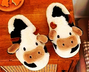 cow-slippers